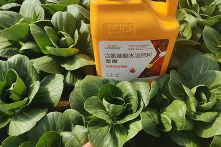 龟背竹施什么肥好,龟背竹施氮磷钾肥最好