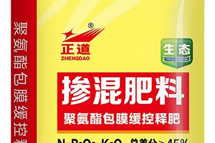 黄豆可以种在沙子里吗