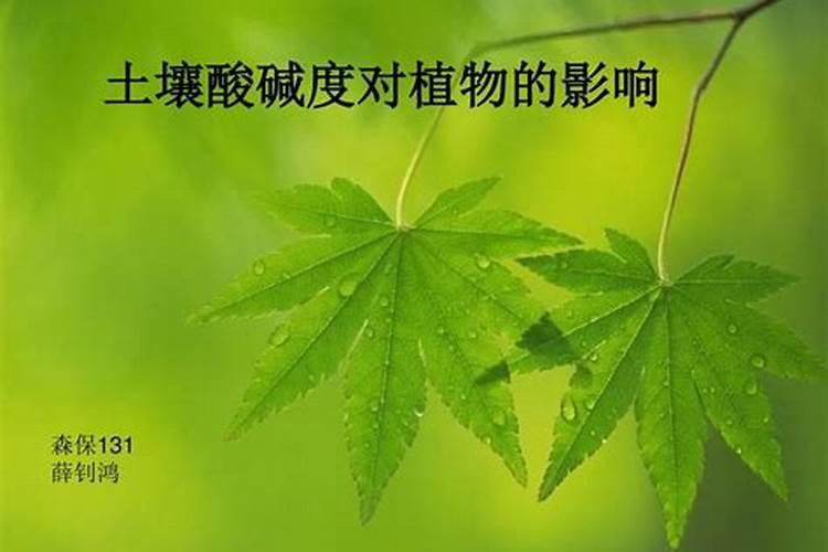 过量施肥对土壤的危害