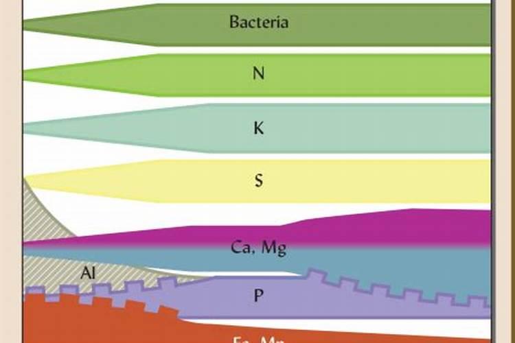 茄子最忌三种肥料