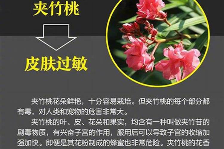 食用盐的股票有哪些？
