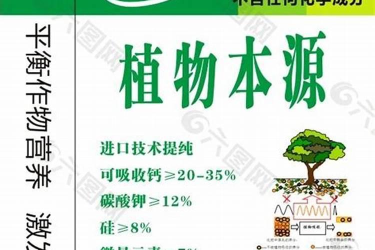 杜鹃换盆多久施肥
