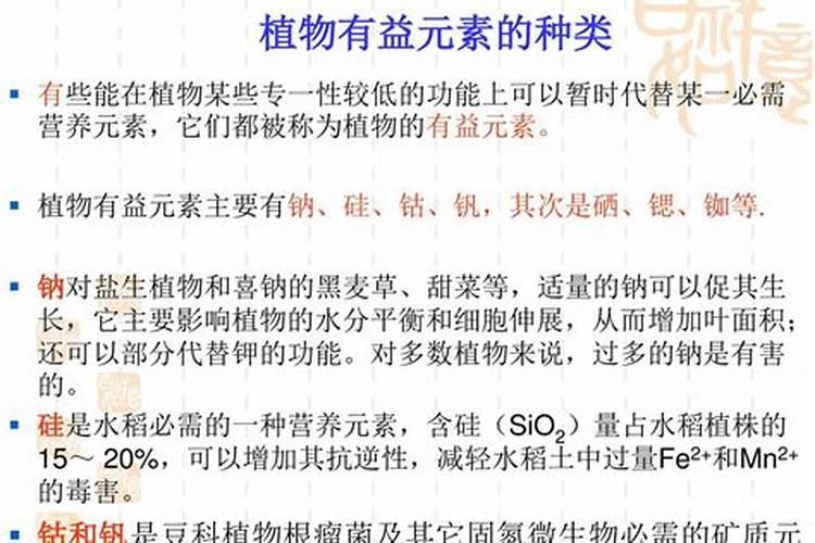 甲壳素肥料的功效与作用