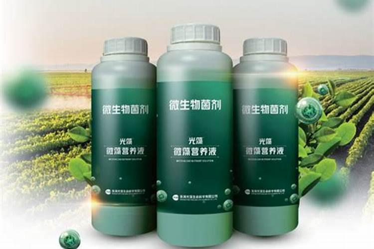 有机肥和营养土有什么区别