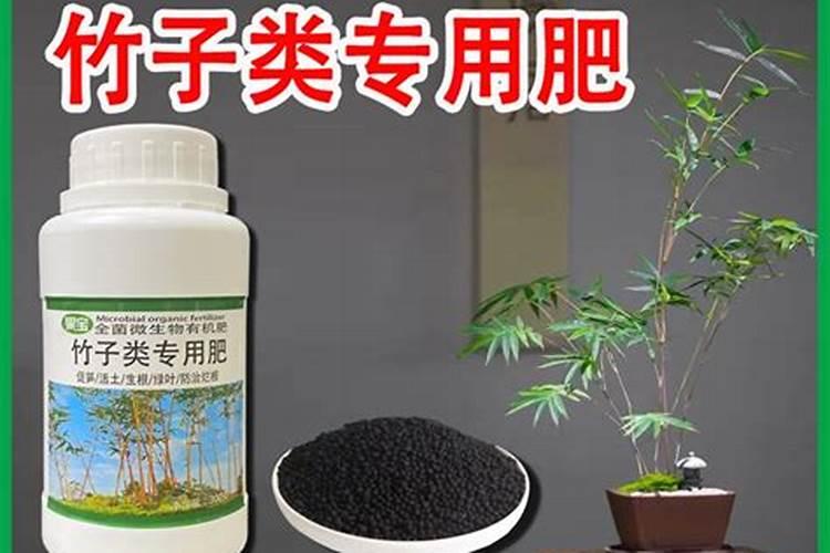 竹子上什么肥料好