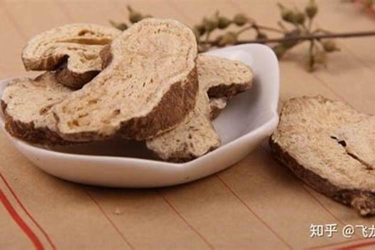 中药材植物白术的田间管理要点