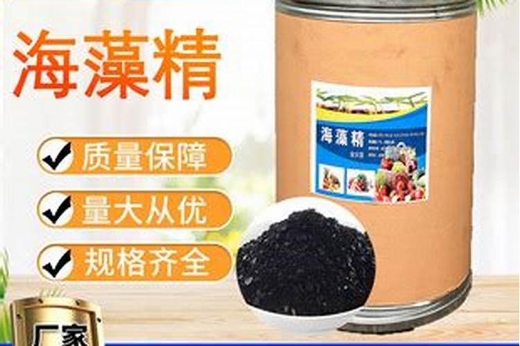 金钱串的浇水时间和正确方法
