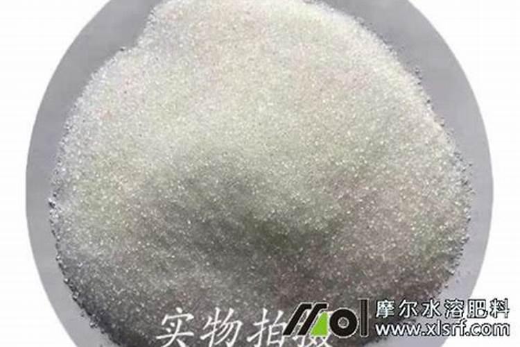 中国最好的芸苔素是什么品牌