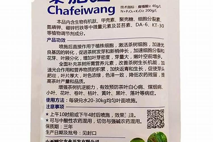 茶叶什么时候施肥比较合适