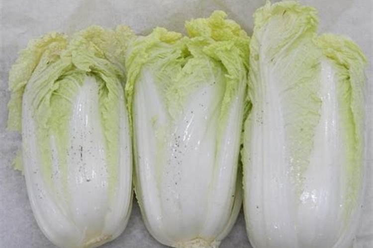 打籽西葫芦什么时候可断水断肥？