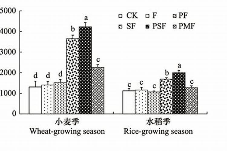 平安树施什么肥料最好
