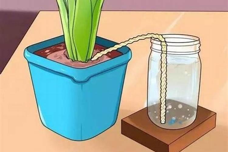 氮肥对植物的作用有哪些？教你自制氮肥的制作方法
