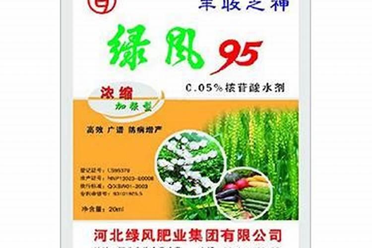 芒果使用什么化肥效果好