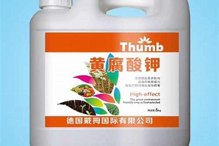 海克斯科技食品什么意思 如何看待海克斯科技食品