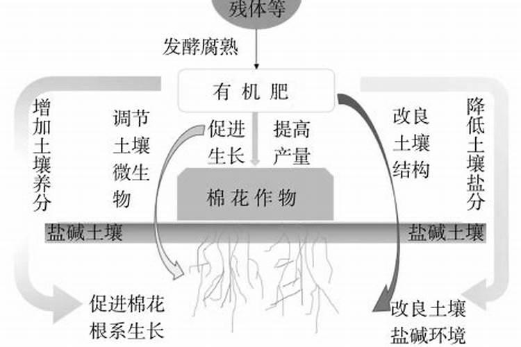 大棚樱桃树使用过多的多效唑,对树会有什么样的情况发生？如使用过多应...
