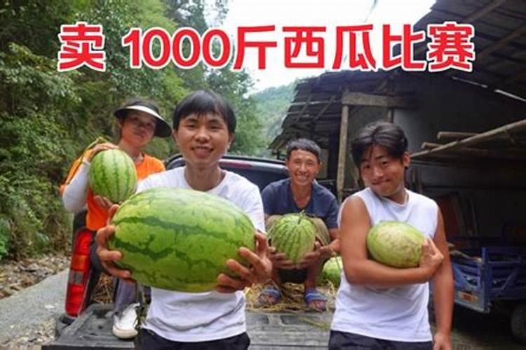 番茄施肥的时候,化肥为什么要稀释一千倍？