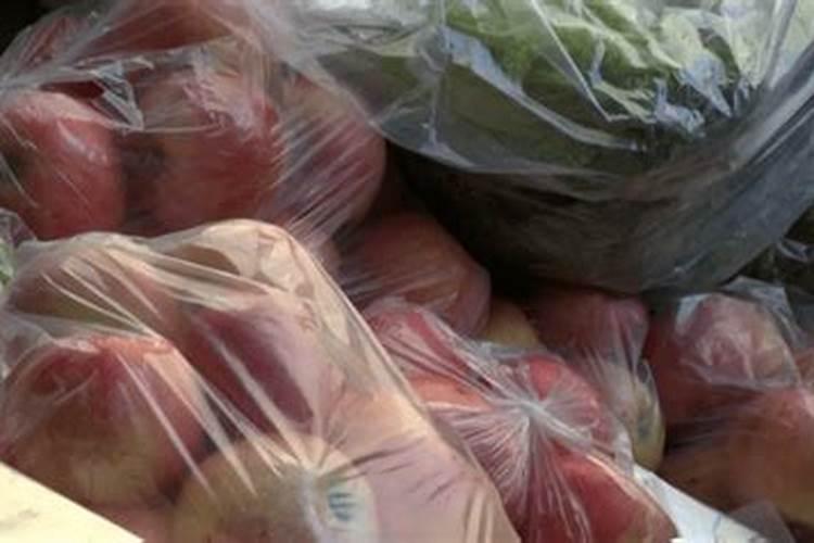 挂果年苹果树每株施纯兔粪多少斤