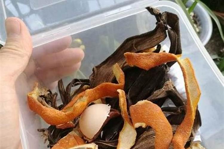 果皮怎么发酵做肥料