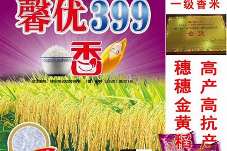 海拉尔蒙西水泥有限公司怎么样？