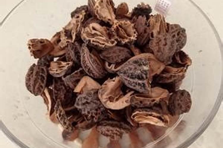 杜鹃花浇什么肥料最好