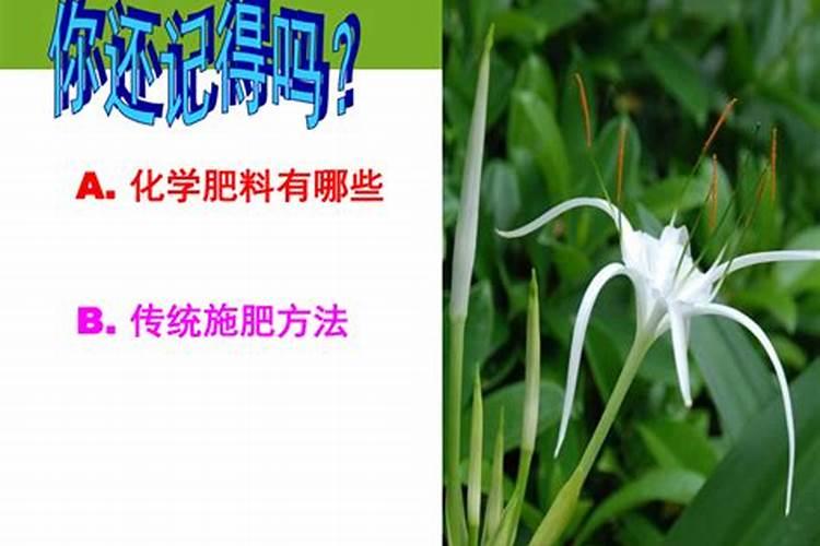 黄腐酸钾最佳使用方法