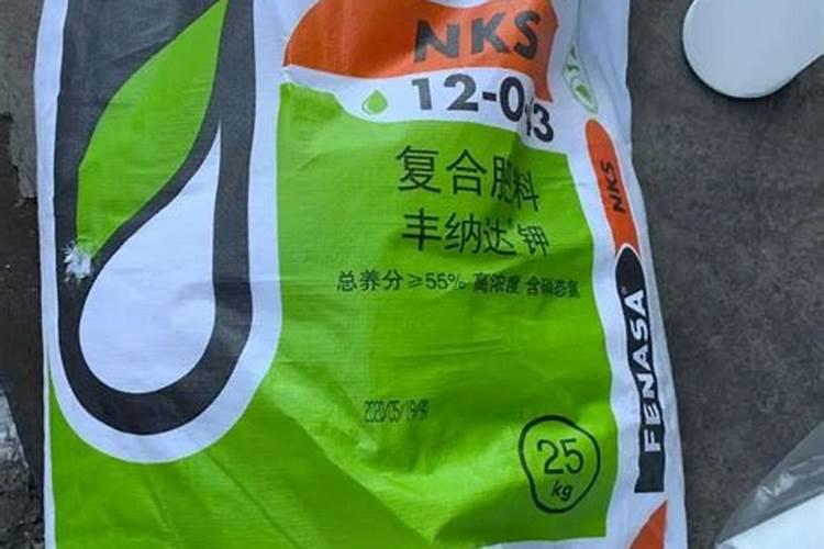 植物缺磷会出现哪些症状？