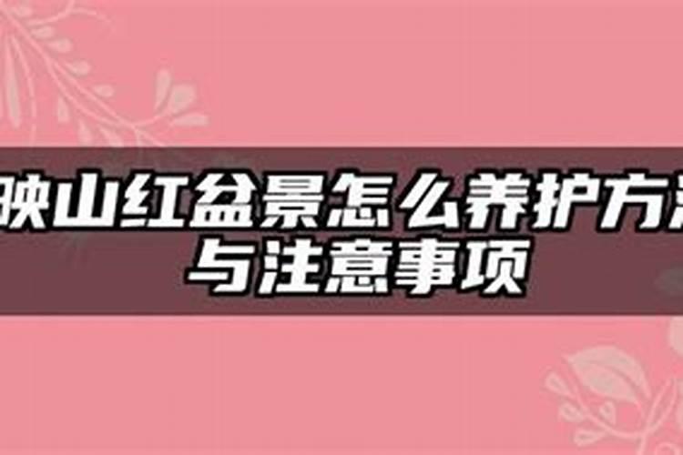 家中经常见的哪些东西是多肉的极品肥料？