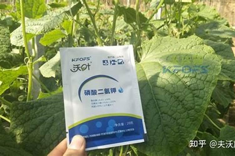 水稻打叶面肥时机,多高温度下使用？