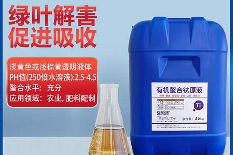 黑皮冬瓜种植技术与管理