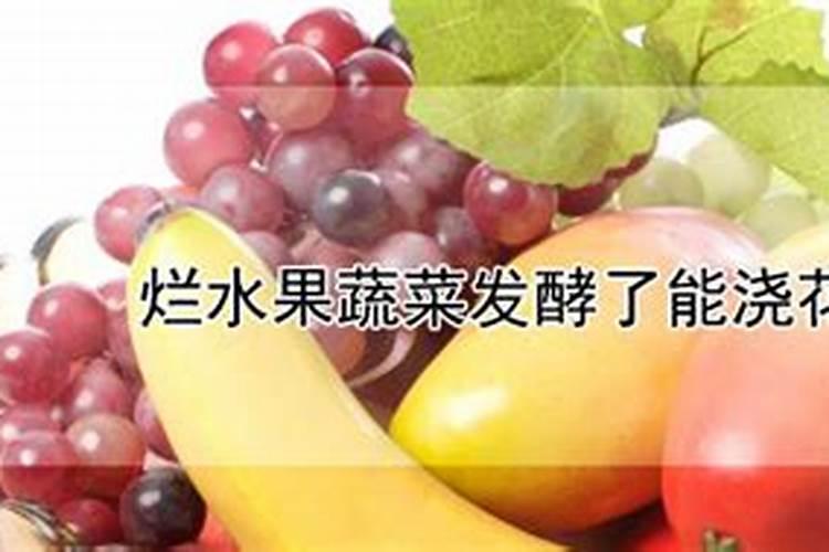 水果发酵多久能浇花