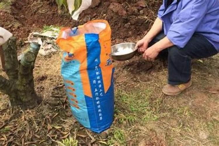 大量元素水溶肥施用几天