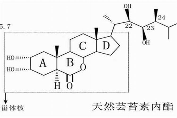 芸苔素内酯哪种好