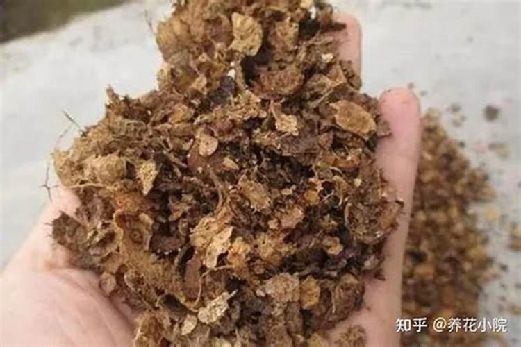 养花用有机肥好还是复合肥好
