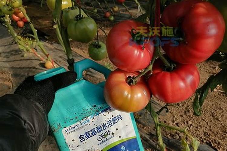 花生后期追肥使用什么肥料