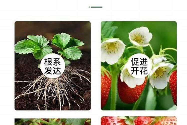 新铺的草坪如何浇水