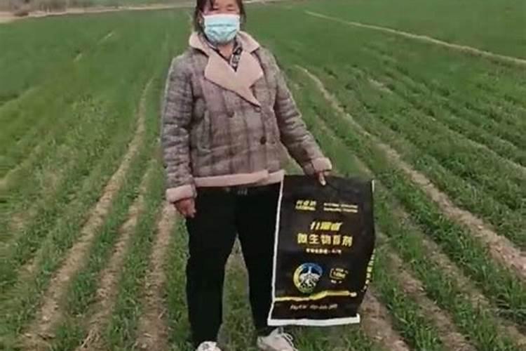 生根水可以浇花吗