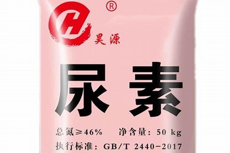 茶花叶子发黄怎么办
