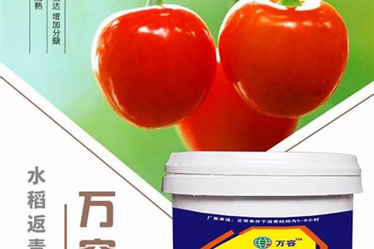 对于处于开花期的葡萄,浇水并施硼肥合适吗