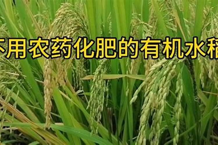 葡萄传色期用什么肥好