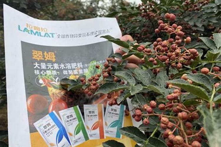养花可以用硫酸钾型复合肥吗？硫酸钾型复合肥如何使用养花