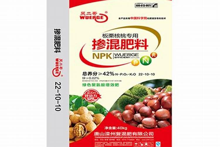 鹦鹉鱼吃什么长得快？有人了解吗？