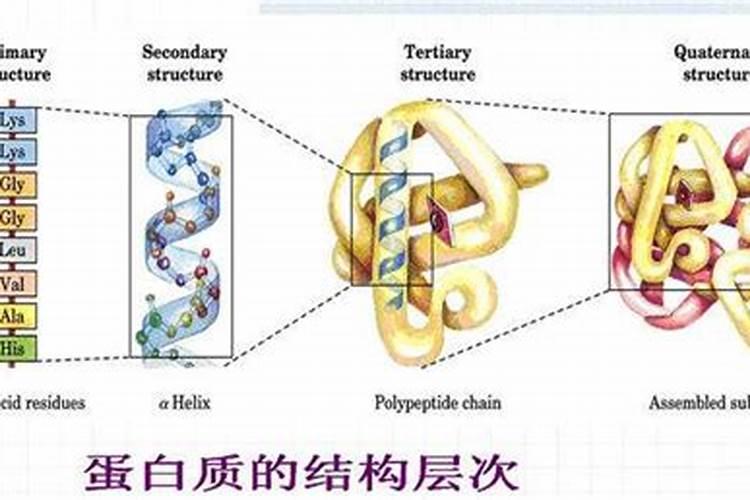 试述木材腐蚀的原因及防腐措施
