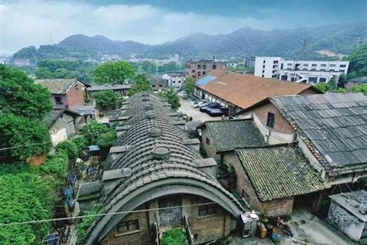 内蒙古敖汉旗特产:敖汉旗荞麦
