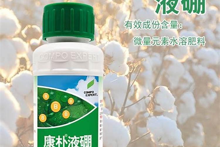 油菜多少钱一亩
