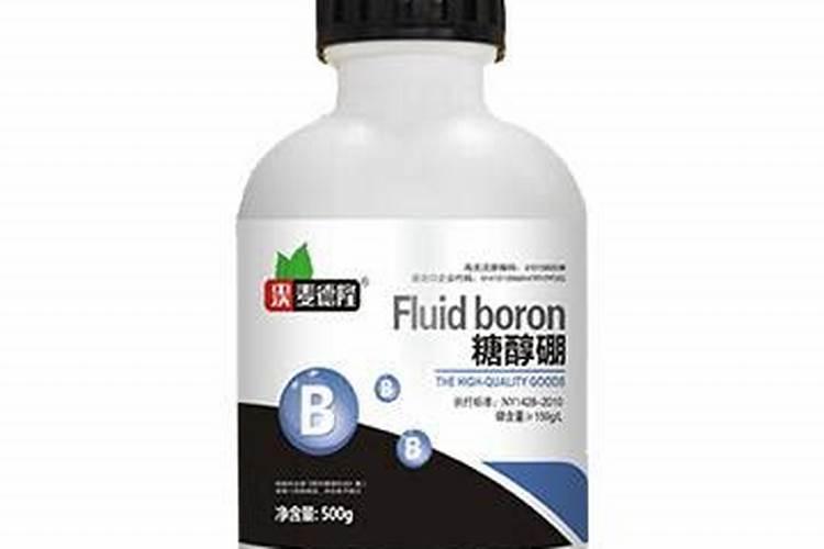 黄杨盆景苗用什么肥能长粗长快
