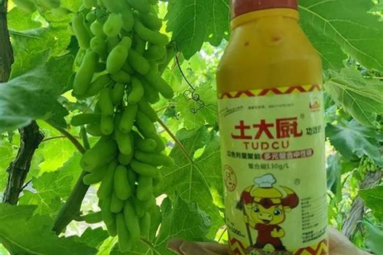 葡萄硼肥什么时候打最好？开花前？还是花期打？