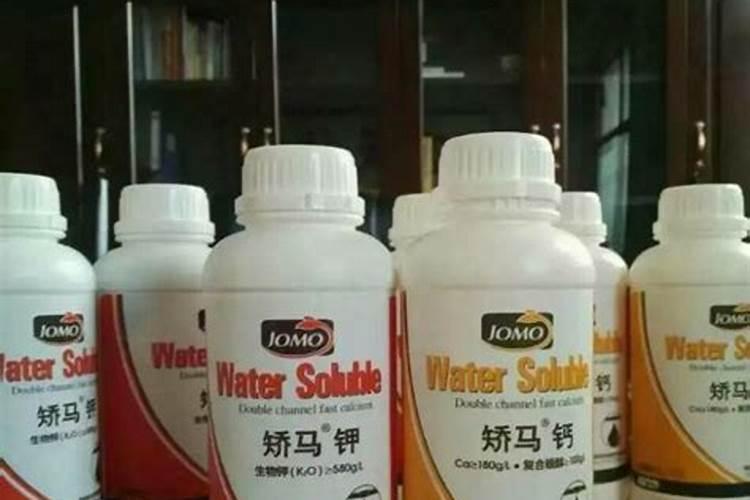 小番茄施什么肥最好
