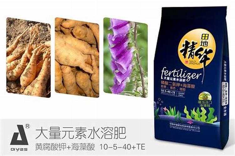 中药材地黄一次冲施多少肥料合适？地黄壮根叶面肥厂家哪家好？