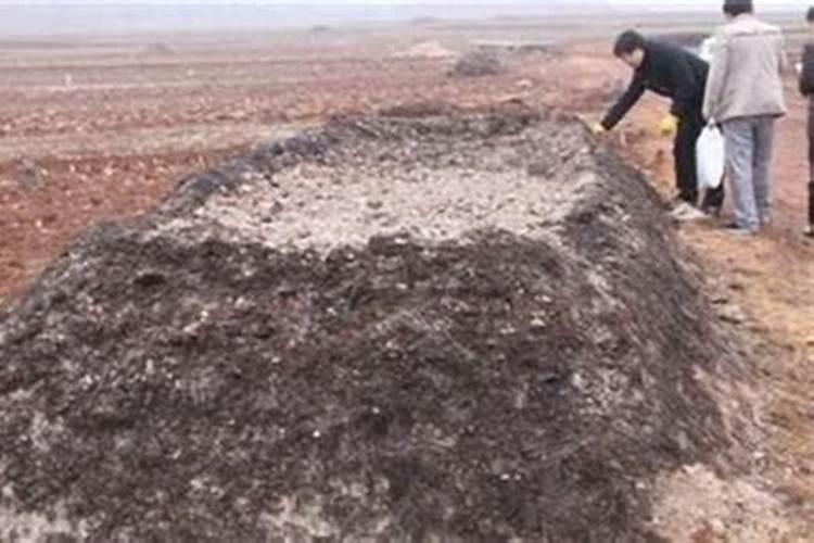 ...都说土凉,种植农作物不爱生长,有什么好办法处理吗？