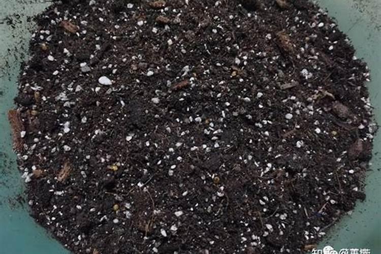 能教我用草酸沉淀稀土的详细方法吗？